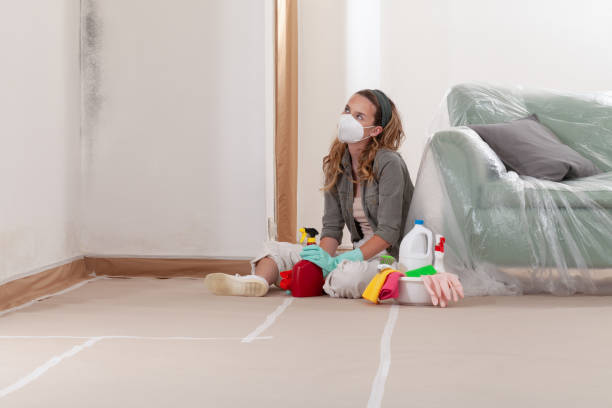 Reliable Crawl Space Mold Removal contractor in Aurora, CO by WQB Mold Removal